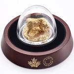 Silver Ten Ounces 2017 Majestic Animals - Grizzly Bear: Photo Coin, Canada, Silver Ten Ounces 2017 Majestic Animals - Grizzly Bear / thumbnail