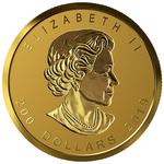 Gold Ounce 2019 Maple Leaf - Incuse: Photo Coin, Canada, Gold Ounce 2019 Maple Leaf - Incuse / thumbnail