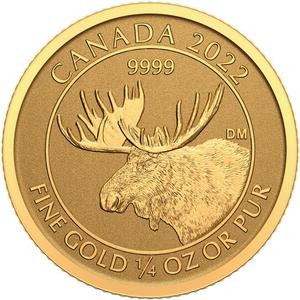 Canada / Gold Quarter Ounce 2022 Moose - reverse photo
