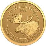 Gold Quarter Ounce 2022 Moose: Photo Coin, Canada, Gold Quarter Ounce 2022 Moose / thumbnail