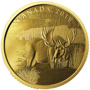 Canada / Gold Ounce 2019 Canadian Moose - reverse photo