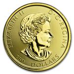 Gold One and a Half Ounces 2019 Megaleaf: Photo Coin, Canada, Gold One and a Half Ounces 2019 Megaleaf / thumbnail