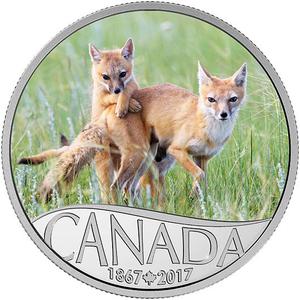 Canada / Silver Half Ounce 2017 Wild Swift Fox - reverse photo