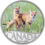 Silver Half Ounce 2017 Wild Swift Fox: Photo Coin, Canada, Silver Half Ounce 2017 Wild Swift Fox / thumbnail