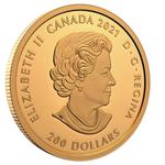 Gold Ounce 2021 Klondike Gold Rush - Panning: Photo Coin, Canada, Gold Ounce 2021 Klondike Gold Rush - Panning / thumbnail