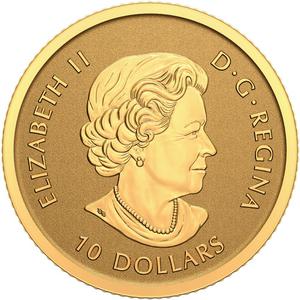 Canada / Gold Quarter Ounce 2022 Moose - obverse photo