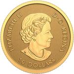 Gold Quarter Ounce 2022 Moose: Photo Coin, Canada, Gold Quarter Ounce 2022 Moose / thumbnail