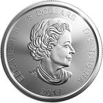 Silver Ounce 2017 Lynx: Photo Coin, Canada, Silver Ounce 2017 Lynx / thumbnail