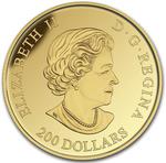 Canada / Gold Ounce 2016 Amazon - obverse photo