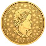 Gold Ounce 2021 Maple Leaf - Celebration: Photo Coin, Canada, Gold Ounce 2021 Maple Leaf - Celebration / thumbnail