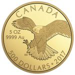 Gold Five Ounces 2017 Peregrine Falcon: Photo Coin, Canada, Gold  Five Ounces 2017 Peregrine Falcon / thumbnail