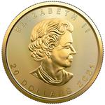Gold Half Ounce 2021 Maple Leaf: Photo Coin, Canada, Gold Half Ounce 2021 Maple Leaf / thumbnail