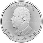 Silver Ounce 2025 Maple Leaf: Photo Coin, Canada, Silver Ounce 2025 Maple Leaf / thumbnail