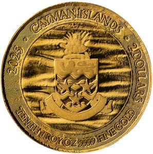 Cayman Islands / Gold Tenth-Ounce 2025 Loggerhead Turtle - obverse photo