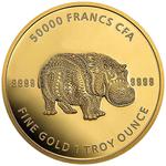 Gold Ounce 2020 Mandala Wildlife - Hippo: Photo Coin, Chad, Gold Ounce 2020 Mandala Hippo / thumbnail