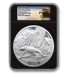 Silver Kilo 2022 Golden Eagle: Photo Coin, China, Silver Kilo 2022 Golden Eagle / thumbnail