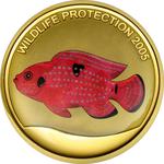Gold Ounce 2005 Red Fish: Photo Coin, Congo, Democratic Republic of the, Gold Ounce 2005 Red Fish / thumbnail