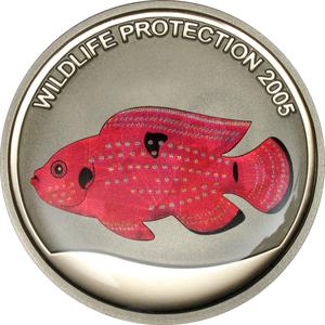 Congo, Democratic Republic of the / Five Francs 2005 Red Fish - reverse photo