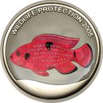 Five Francs 2005 Red Fish: Photo Coin, Congo, Democratic Republic of the, Five Francs 2005 Red Fish / thumbnail