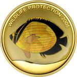 Gold Ounce 2005 Butterfly Fish: Photo Coin, Congo, Democratic Republic of the, Gold Ounce 2005 Butterfly Fish / thumbnail