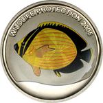 Five Francs 2005 Butterfly Fish: Photo Coin, Congo, Democratic Republic of the, Five Francs 2005 Butterfly Fish / thumbnail