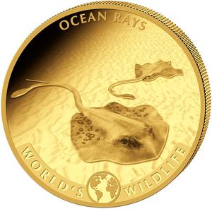 Congo, Democratic Republic of the / Gold Quarter Ounce 2023 World's Wildlife - Ocean Rays - reverse photo
