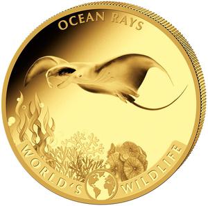Congo, Democratic Republic of the / Gold Half Ounce 2023 World's Wildlife - Ocean Rays - reverse photo