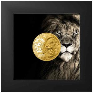 Cook Islands / Gold Quarter Ounce 2023 Nature Kings - Lion - obverse photo