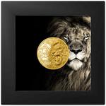 Gold Quarter Ounce 2023 Nature Kings - Lion: Photo Coin, Cook Islands, Gold Quarter Ounce 2023 Nature Kings - Lion / thumbnail