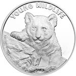 Silver Ounce 2013 Young Wildlife - Tiger: Photo Coin, Cook Islands, Silver Ounce 2013 Young Wildlife - Tiger / thumbnail
