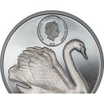 Silver Two Ounces 2023 Black Swan: Photo Coin, Cook Islands, Silver Two Ounces 2023 Black Swan / thumbnail