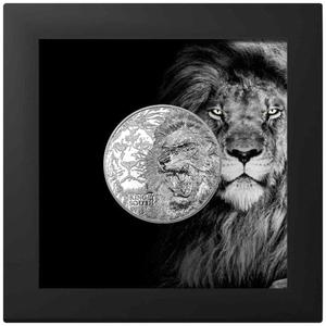 Cook Islands / Silver Ounce 2023 Nature Kings - Lion - obverse photo