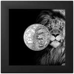 Silver Ounce 2023 Nature Kings - Lion: Photo Coin, Cook Islands, Silver Ounce 2023 Nature Kings - Lion / thumbnail