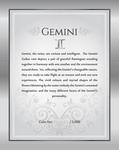 Silver Twenty Grams 2014 Gemini: Photo Coin, Cook Islands, Silver Twenty Grams 2014 Gemini / thumbnail