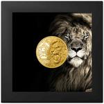Gold Ounce 2023 Nature Kings - Lion: Photo Coin, Cook Islands, Gold Ounce 2023 Nature Kings - Lion / thumbnail