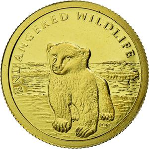 Cook Islands / Ten Dollars Gold 2008 Polar Bear - obverse photo