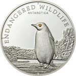 Five Dollars Silver 2008 Penguin: Photo Coin, Cook Islands, Five Dollars Silver 2008 Penguin / thumbnail