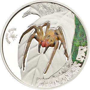 Cook Islands / Silver Half Ounce 2013 Brazilian Wandering Spider - reverse photo