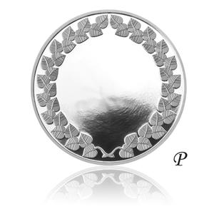 Czech Republic / Silver Medal - For Sport Performance - obverse photo