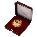 Gold Half Ounce 2021 Jihlava: Photo Coin, Czech Republic, Gold Half Ounce 2021 Jihlava / thumbnail