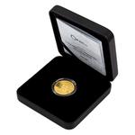 Gold Quarter Ounce 2021 Hluboš Chateau: Photo Coin, Czech Republic, Gold Quarter Ounce 2021 Hluboš Chateau / thumbnail