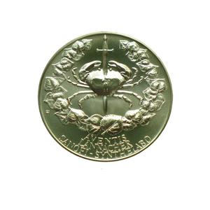 Czech Republic / Brass Medal 2004 Oncology - obverse photo