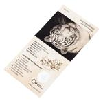 Gold Ounce 2019 Liberec Zoo: Photo Coin, Czech Republic, Gold Ounce 2019 Liberec Zoo / thumbnail