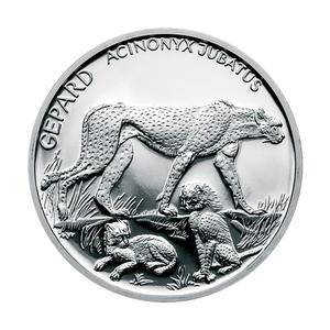 Czech Republic / Silver Half Ounce 2006 Zoo - obverse photo