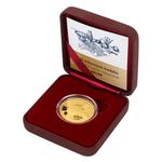 Gold Half Ounce 2020 Foundation of SUPŠ: Photo Coin, Czech Republic, Gold Half Ounce 2020 Foundation of SUPŠ / thumbnail