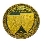 Brass Medal 1998 Morava Flood: Photo Coin, Czech Republic, Brass Medal 1998 Morava Flood / thumbnail