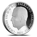 Falkland Islands / Silver Five Ounces 2025 King Penguin - obverse photo