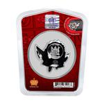 Silver Ounce 2022 Mini-Hero - Falcon: Photo Coin, Fiji, Silver Ounce 2022 Mini-Hero - Falcon / thumbnail
