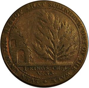 Great Britain / Halfpenny Token 1794 Somerset Bath Botanic Gardens - reverse photo