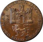 Halfpenny Token Norfolk Norwich: Photo Coin, Great Britain, Halfpenny Token Norfolk Norwich / thumbnail
